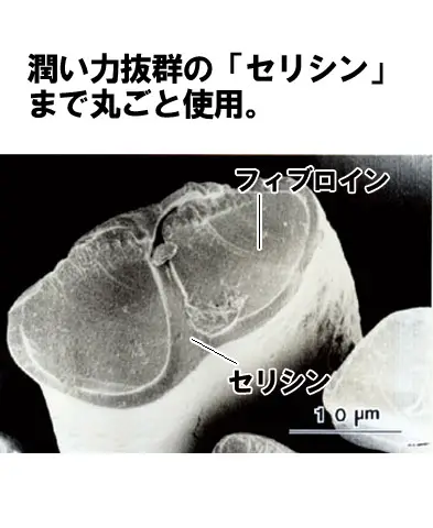 �S�[���f���V���N�G�b�Z���X�@���̌��I