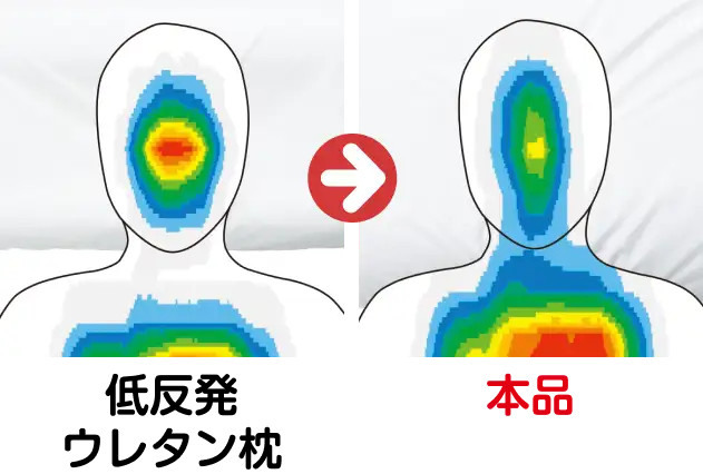 頭部圧力測定結果イメージ