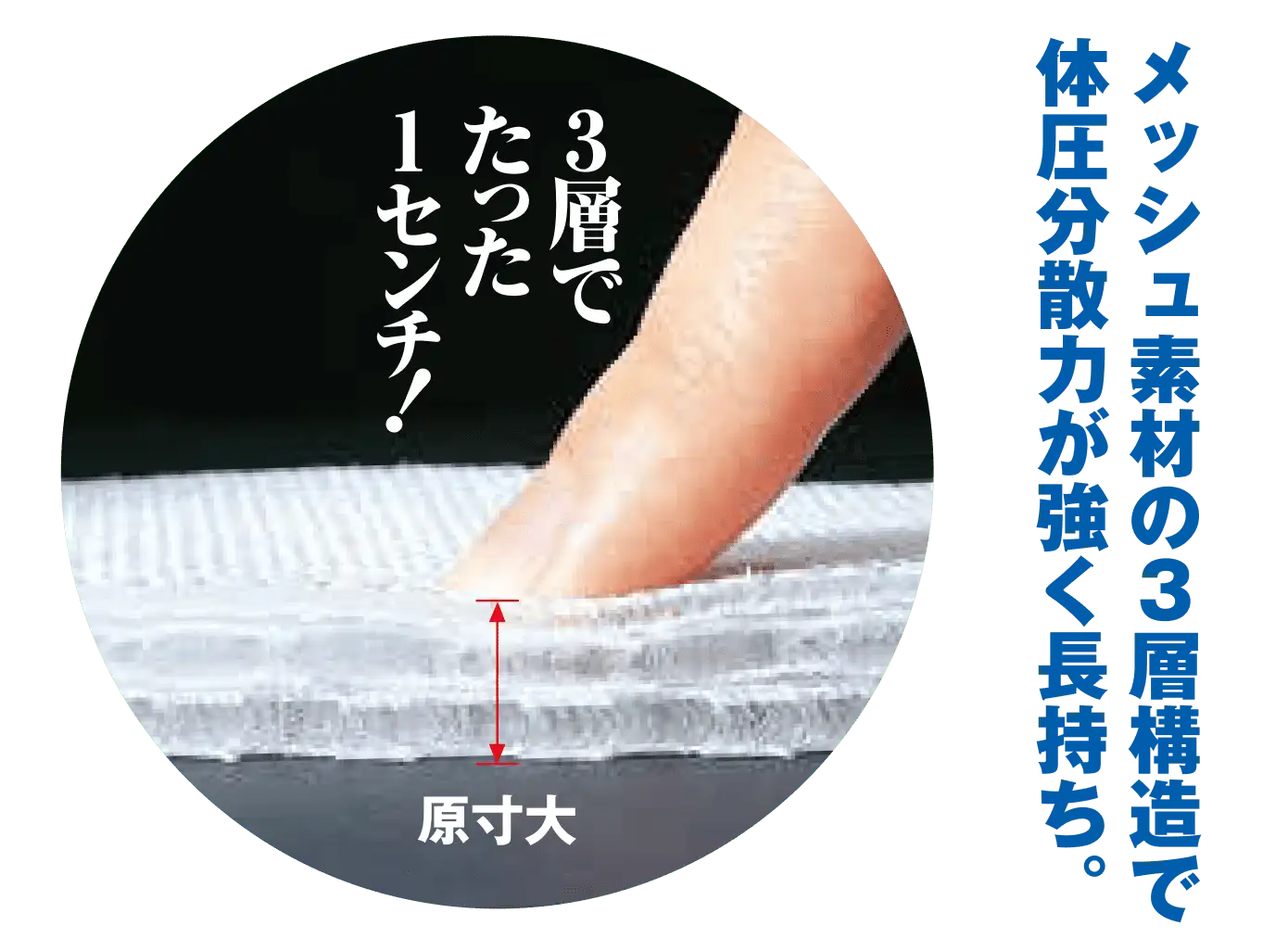 3層でたった1センチの薄さの本品を指で押している原寸大の写真。メッシュ素材の3層構造で体圧分散力が強く長持ち。
