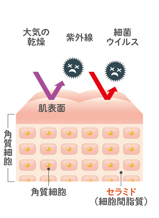 潤みどクリーム　30g 　通販生活　カタログハウス - 3
