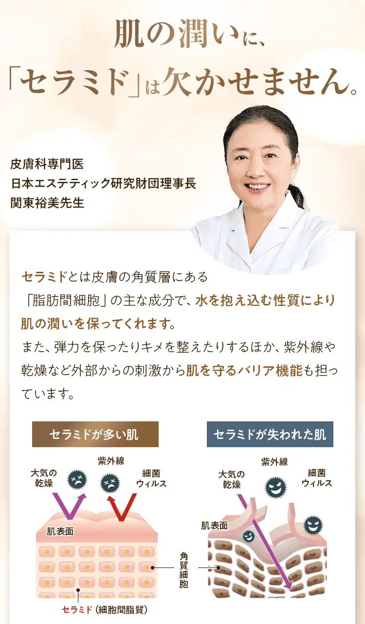 肌の潤いに、「セラミド」は欠かせません。