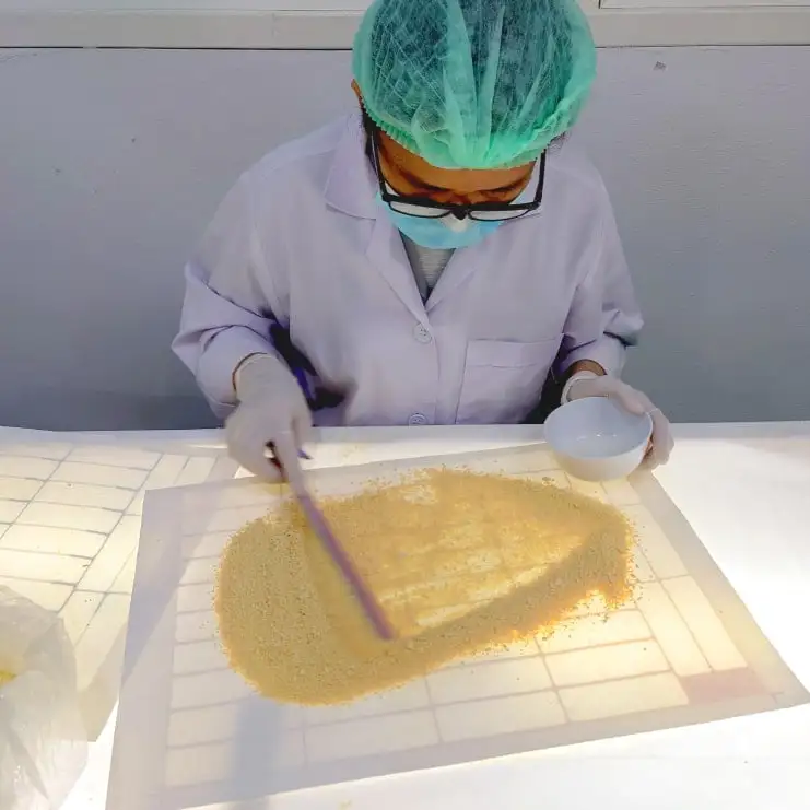 生まゆ製法4_乾燥させて微粉末化する。