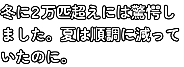冬に2万匹超えには驚愕しました。夏は順調に減っていたのに。