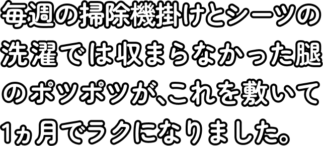 毎週の掃除機掛けとシーツの洗濯では収まらなかった腿のポツポツが、これを敷いて1ヵ月でラクになりました