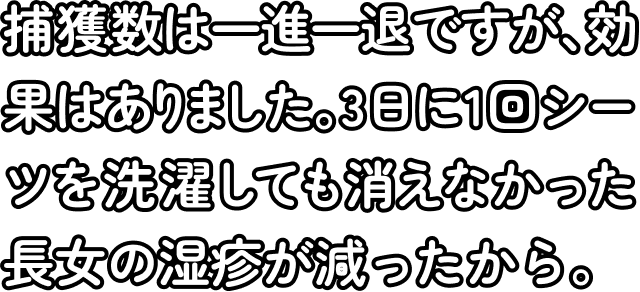 捕獲数は一進一退ですが、効果はありました。3日に1回シーツを洗濯しても消えなかった長女の湿疹が減ったから