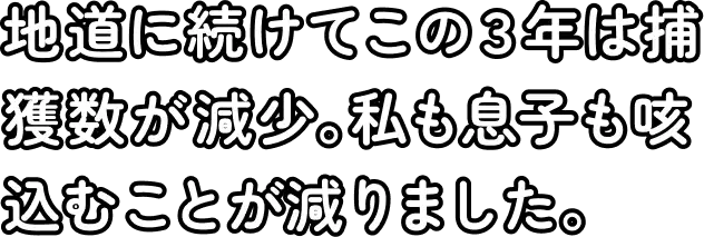 地道に続けてこの3年は捕獲数が減少。私も息子も咳込むことが減りました