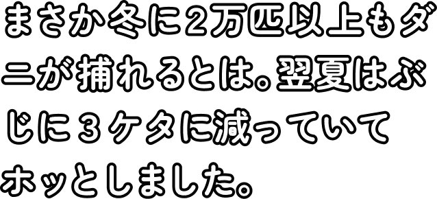 まさか冬に2万匹以上もダニが捕れるとは。翌夏はぶじに3ケタに減っていてホッとしました