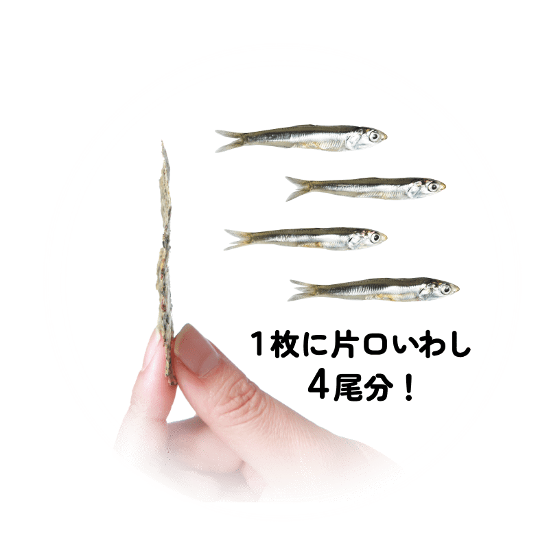 １枚に片口いわし4尾分！