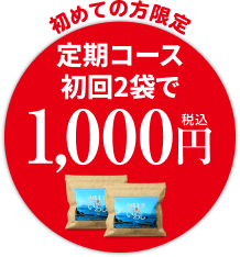 初めての方限定 お試し1000円『薄焼いわし』買う