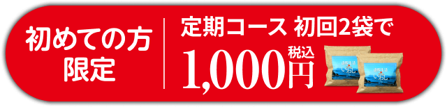 初めての方限定 お試し1000円『薄焼いわし』買う