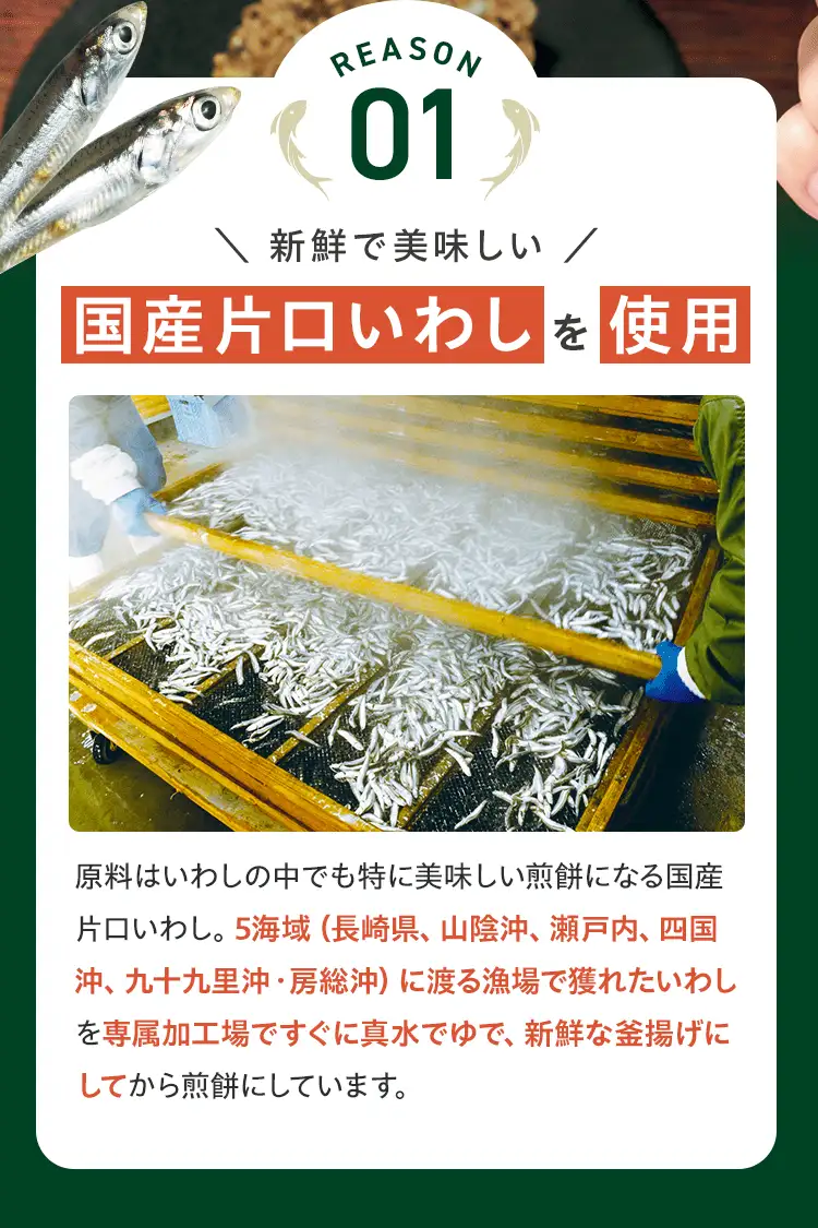 REASON 01 新鮮で美味しい国産片口いわしを使用