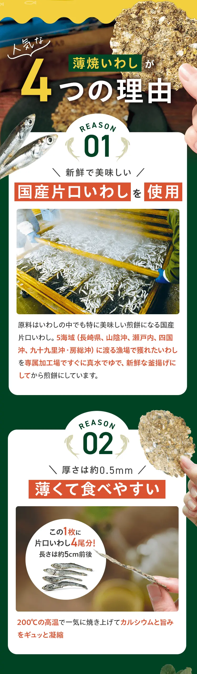 薄焼いわしが人気な4つの理由 REASON 01 新鮮で美味しい国産片口いわしを使用 REASON 02 厚さは約0.5mm薄くて食べやすい