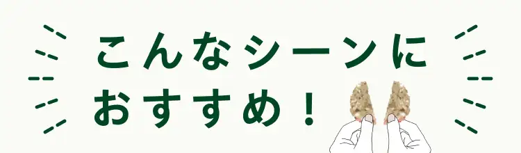 こんなシーンにおすすめ