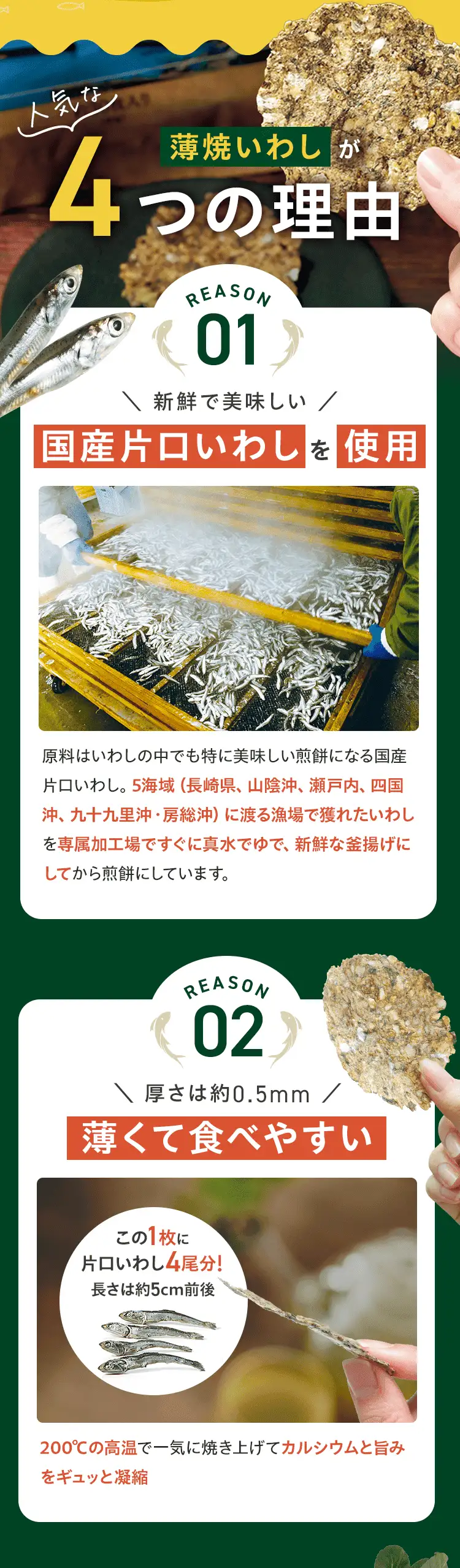 薄焼いわしが人気な4つの理由 REASON 01 新鮮で美味しい国産片口いわしを使用 REASON 02 厚さは約0.5mm薄くて食べやすい