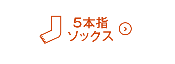 5本指ソックスON