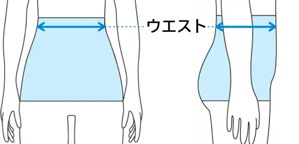 ウエストの図解