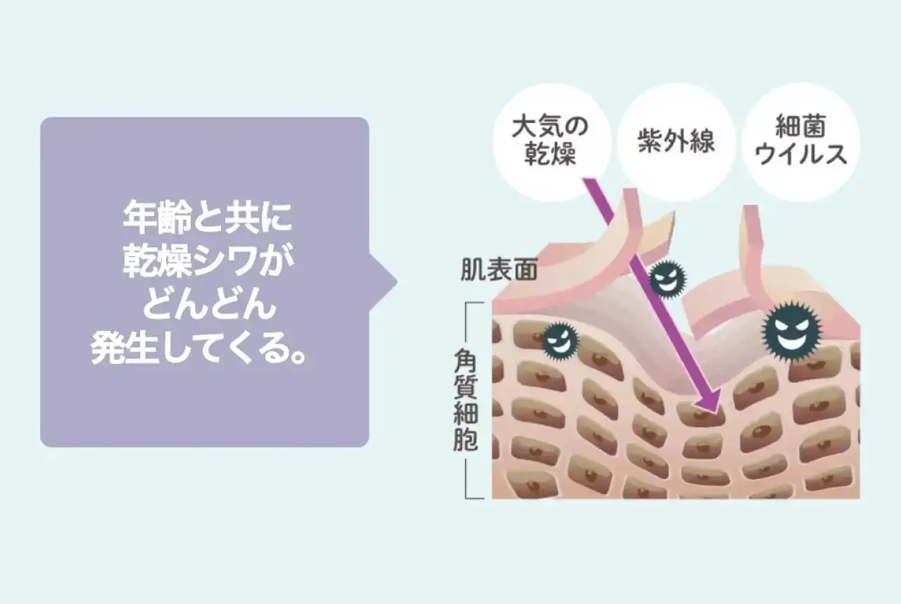 年齢と共に乾燥シワがどんどん発生してくる