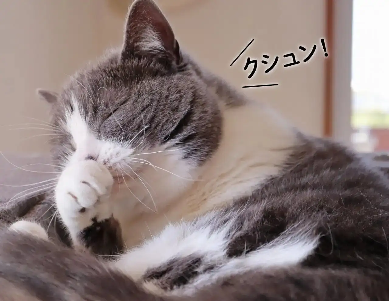 【花粉対策】春先のクシュン！にサヨナラする道具