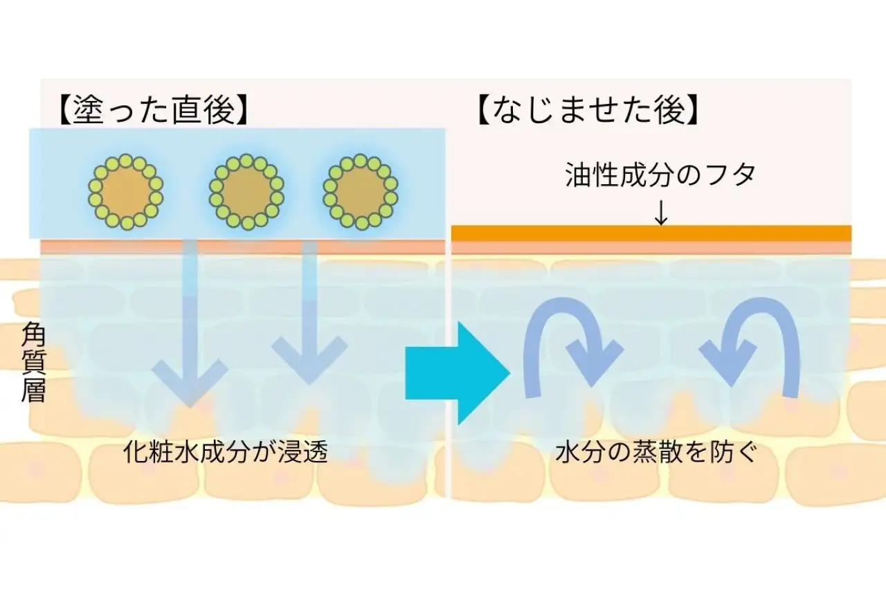 「夜露」を塗った直後、なじませた後のイラスト