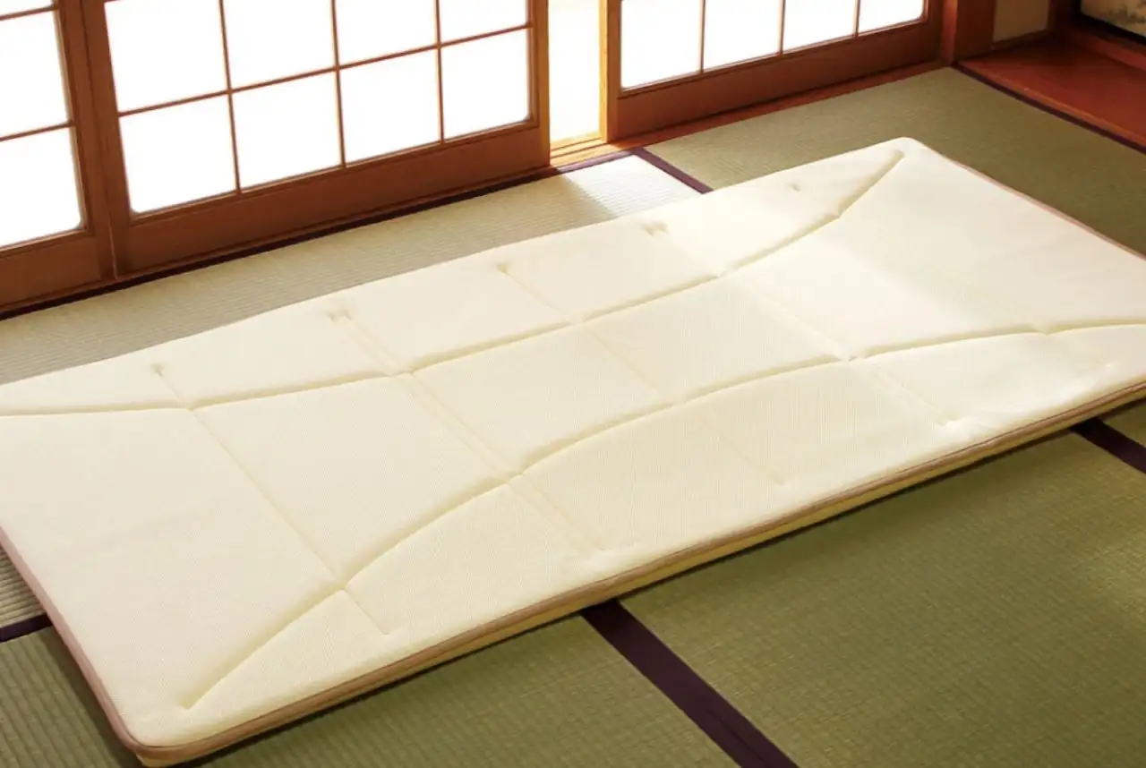 腰痛対策敷布団『エルゴスリープ®2.5』