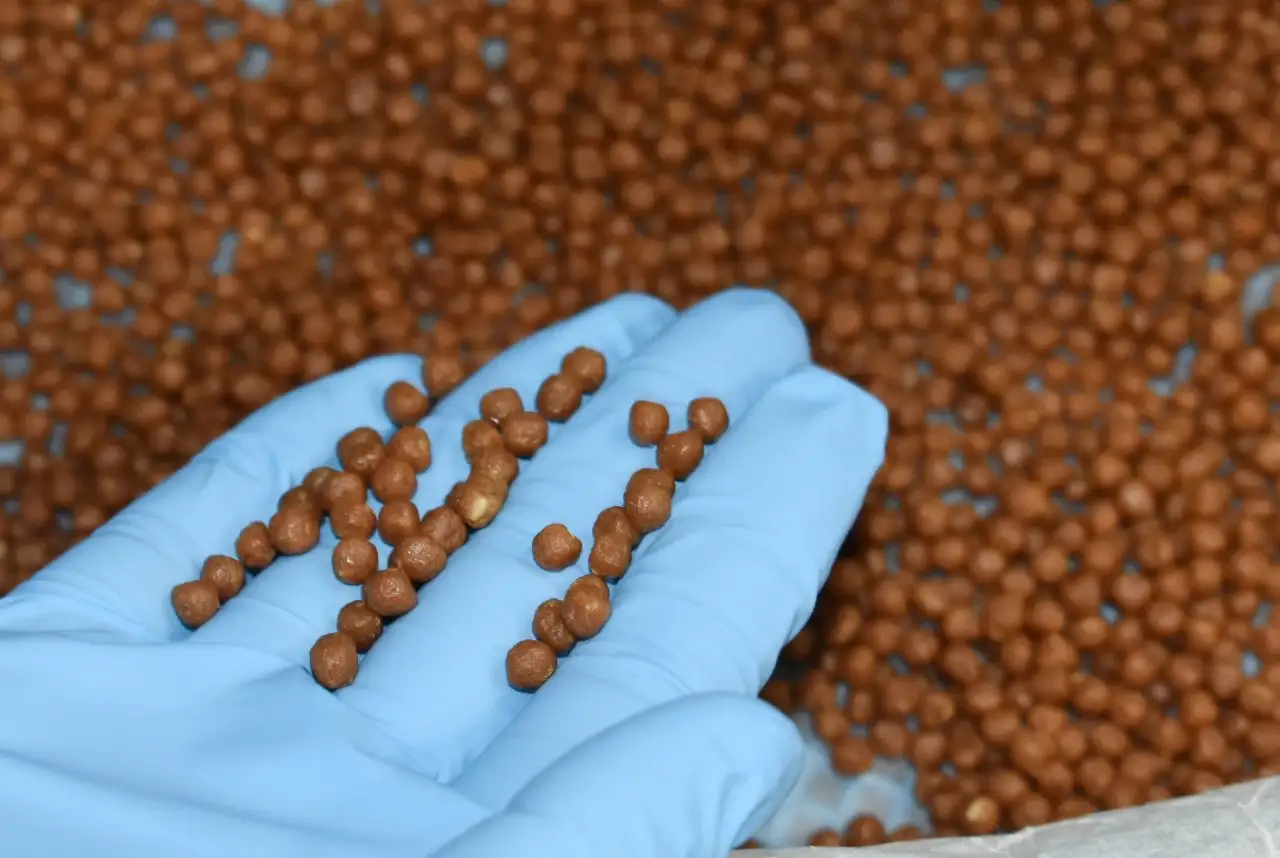 手のひらにのせてみると、うっすらにんにくの香ばしさを感じる程度