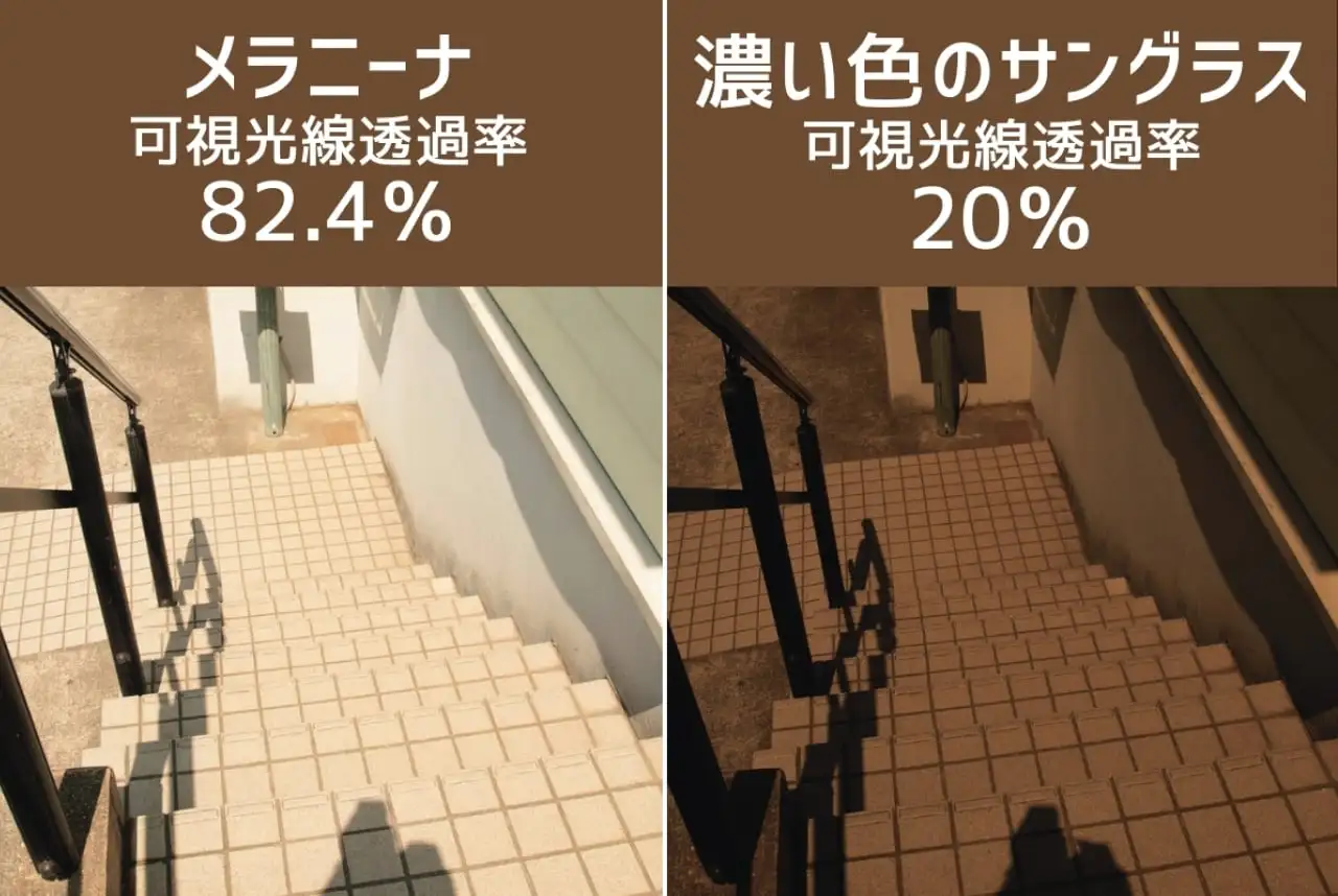 メラニーナと濃いサングラスの比較画像