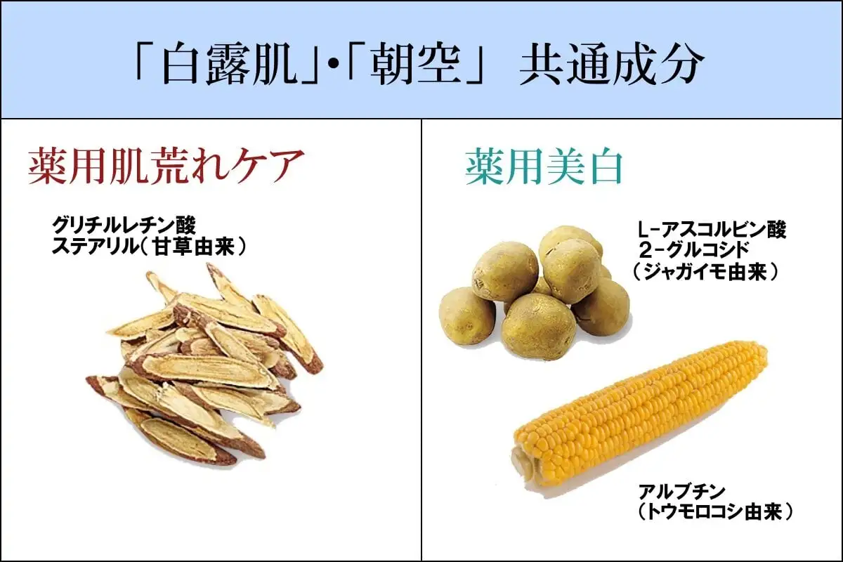 「白露肌」と「朝空」のシミ対策の比較