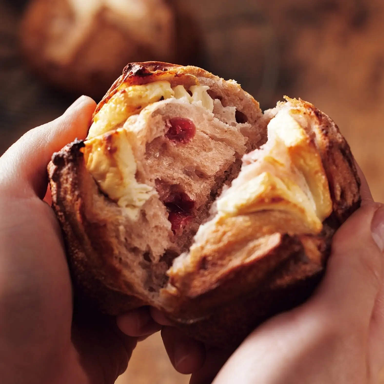 フランク・カステヤさんの天然酵母パン12ヵ月頒布会