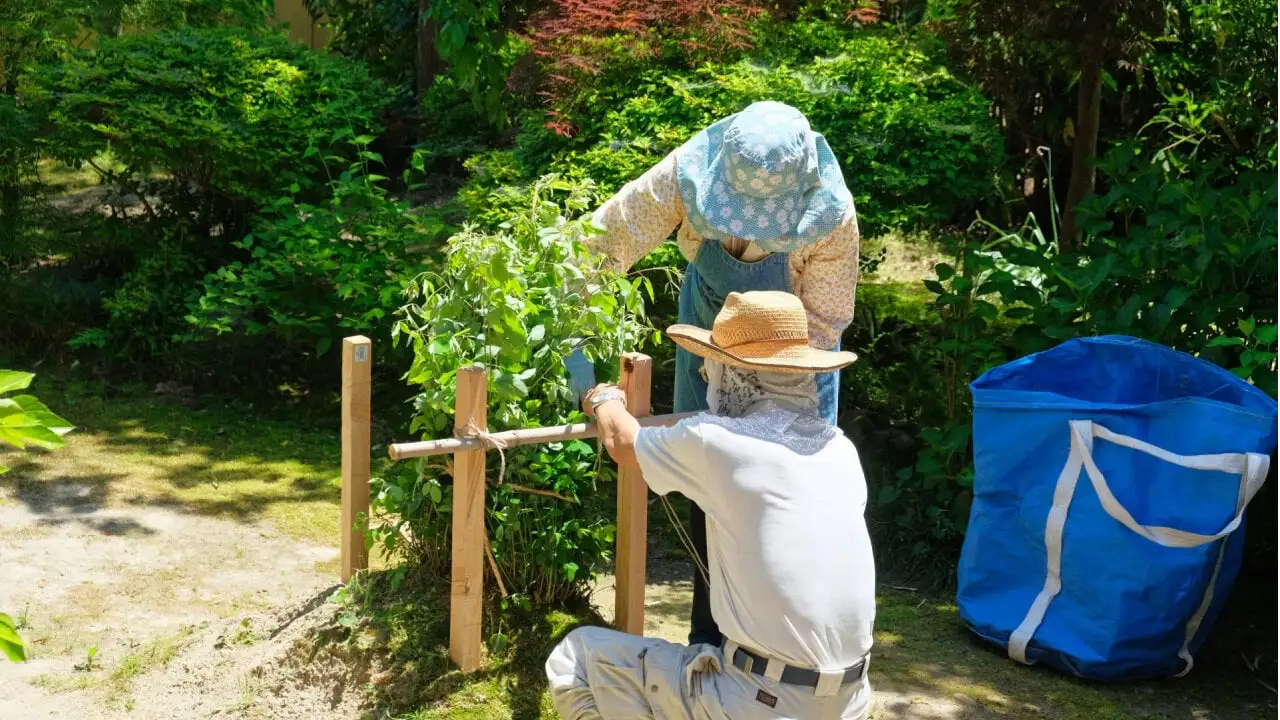 庭いじりをしている中高年夫妻