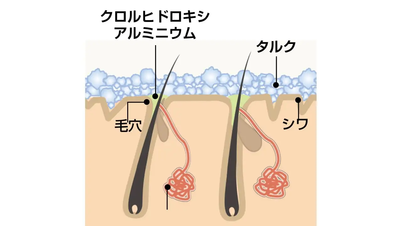  薬用制汗パウダー「さらすず」の成分と汗を抑える機能
