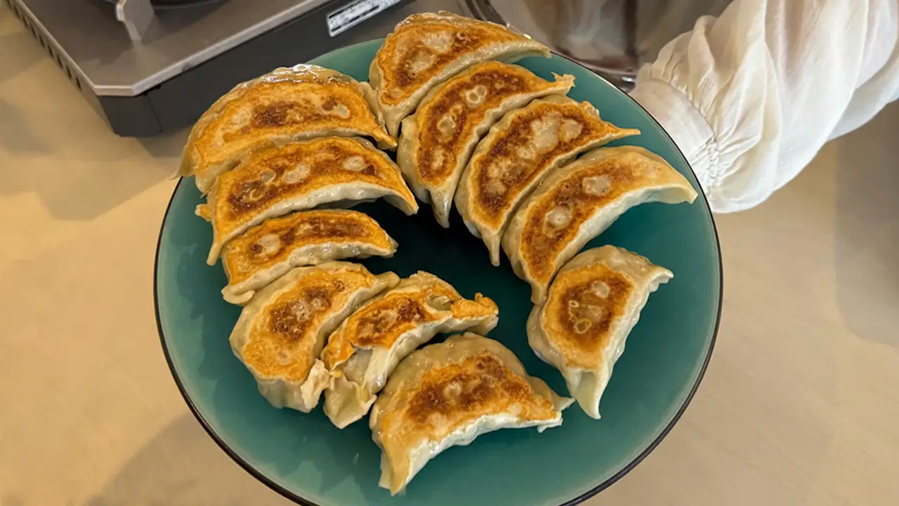 皿に盛られたスパイシー焼き餃子と広東風焼き餃子