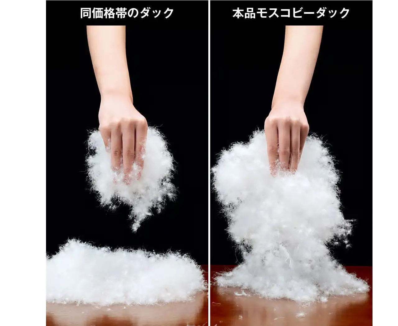 画像：羽毛を手で持ち上げている様子