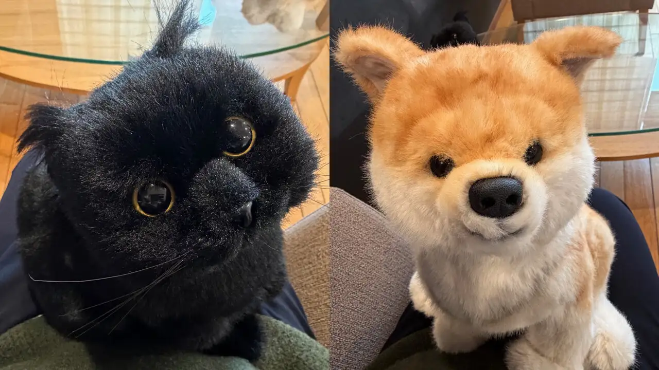 膝に座る黒ネコのと柴イヌ