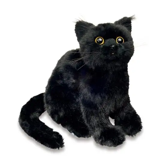 黒ネコ