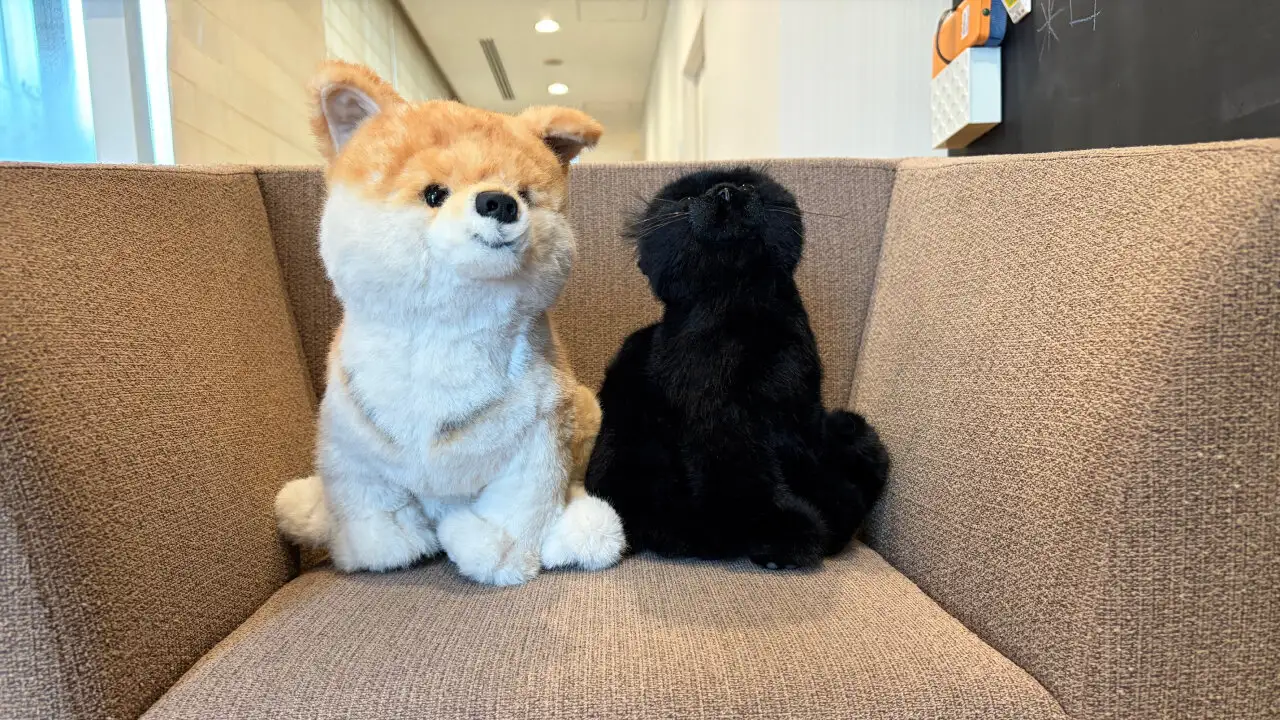 ソファに並んで座る商品『柴イヌ』と『黒ネコ』
