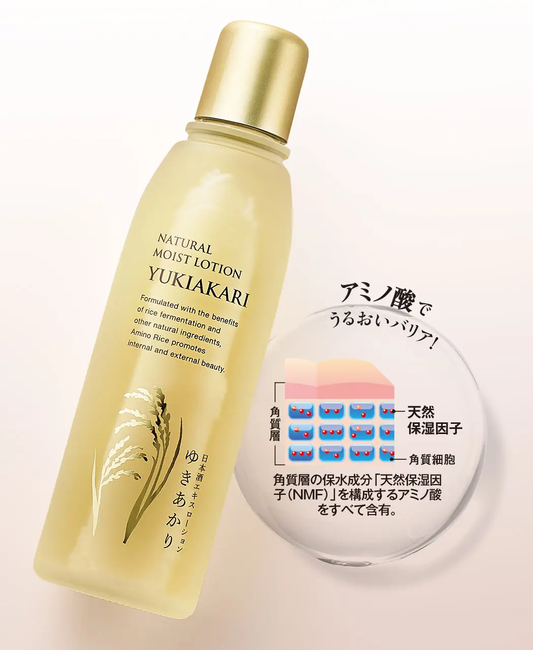 8時だよ 通販生活 日本酒エキスローション ゆきあかり 公式 カタログハウスの通販サイト