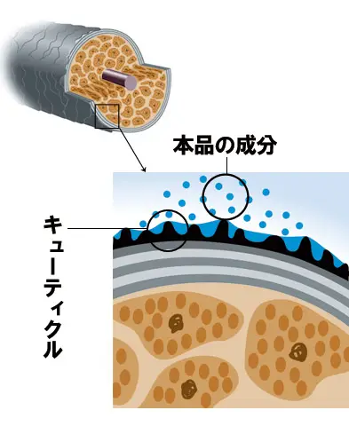 通販生活®ヘアエッセンス18-MEA「ぬばたま」｜【公式】カタログハウス