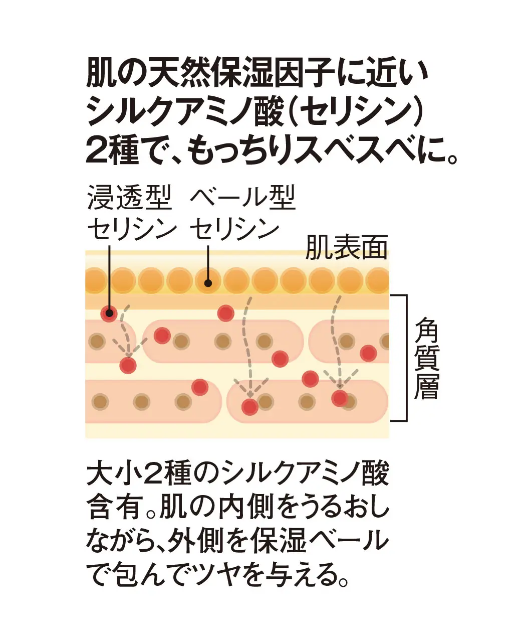 通販生活 ゴールデンシルクエッセンス 金の絹露 公式 カタログハウスの通販サイト