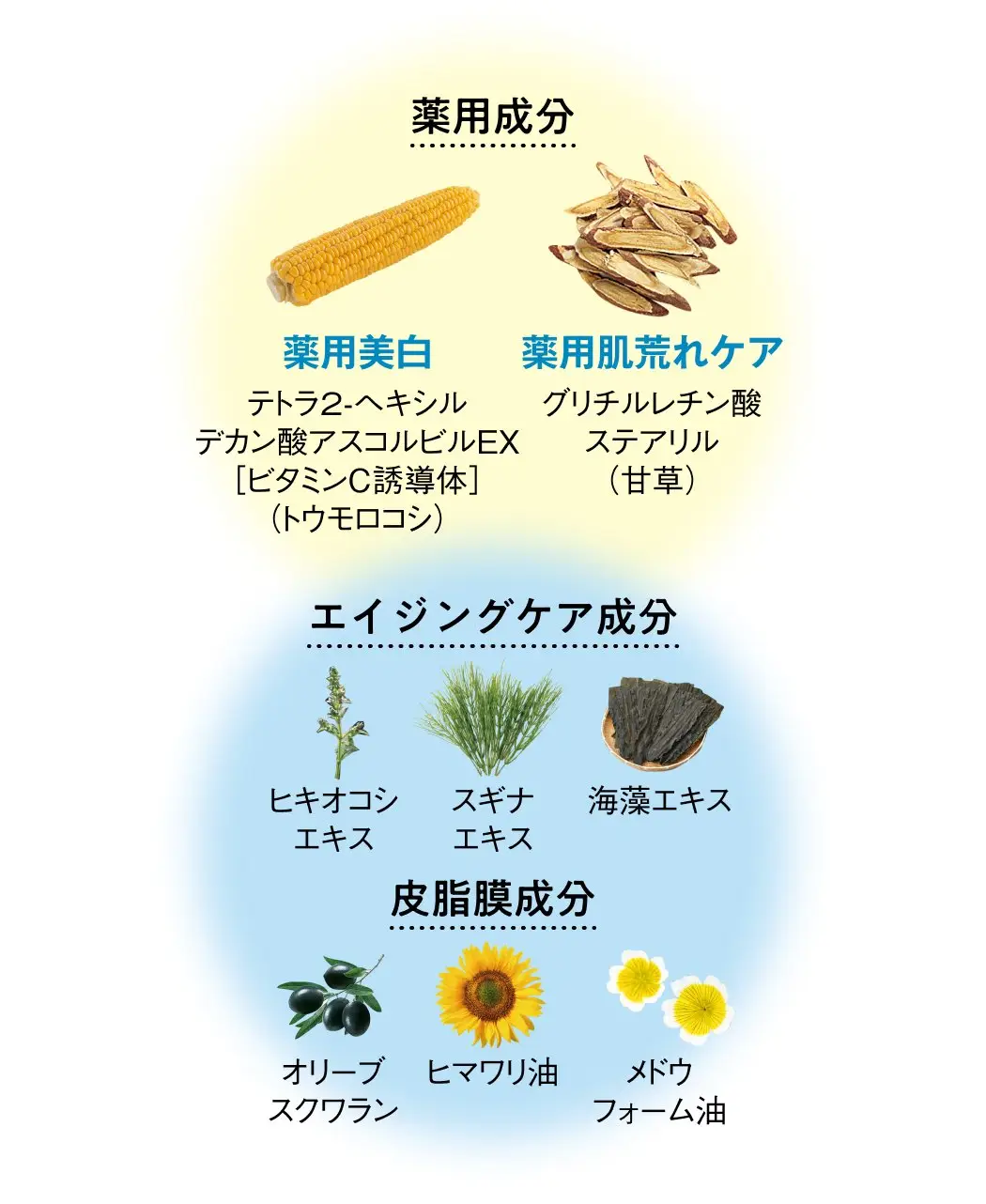 通販生活　カタログハウス　W薬用美白保湿オイル 通販生活®W薬用美白保湿オイル『潤むく』｜【公式】カタログハウスの