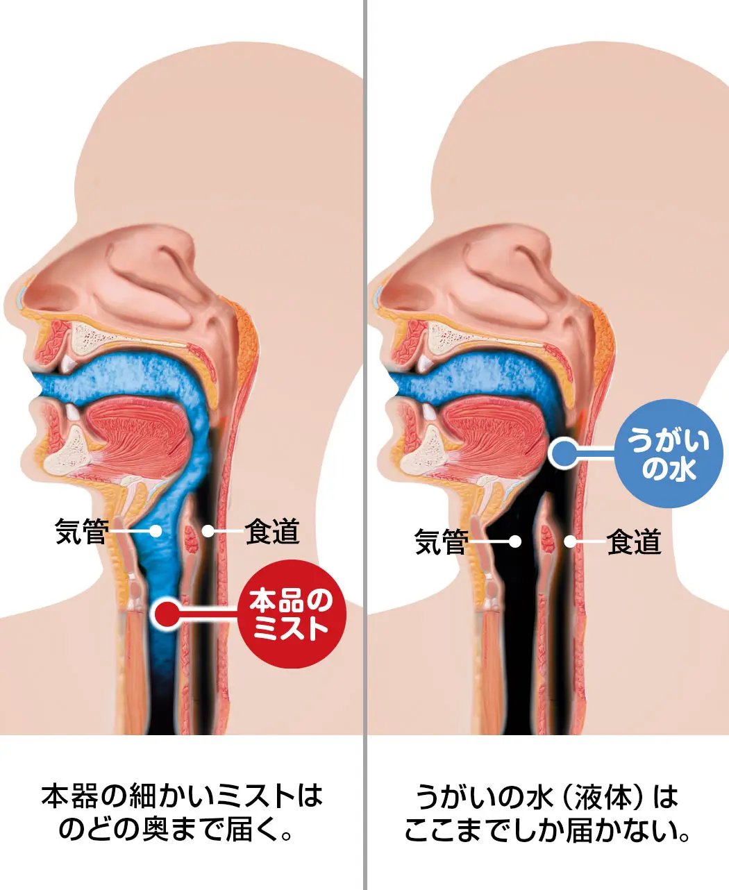 通販生活 のどミスト 風邪 冷え対策 通販生活 カタログハウス 公式 カタログハウスの通販サイト