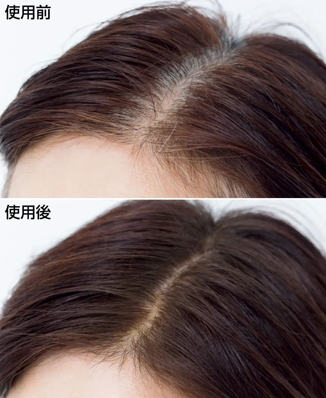 8時だよ 通販生活 ヘアカラーファンデ 花の葉 公式 カタログハウスの通販サイト