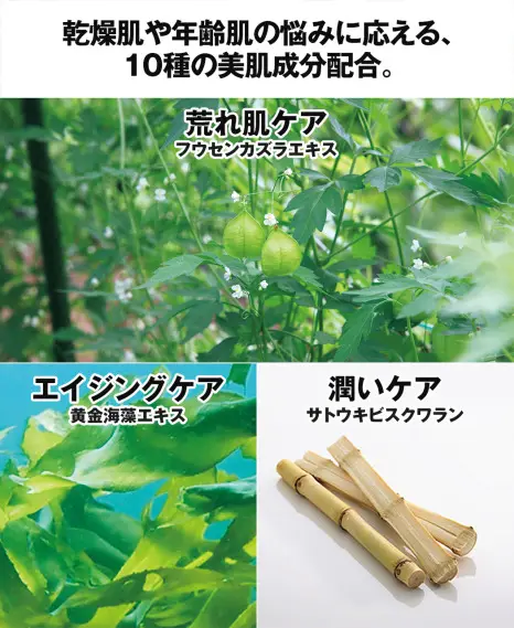 2本セット　新品未開封　潤皙肌　じゅんせきはだ　潤晳肌　カタログハウス　通販生活 通販生活®UVカットミルクファンデーション「潤皙肌-じゅんせきはだ