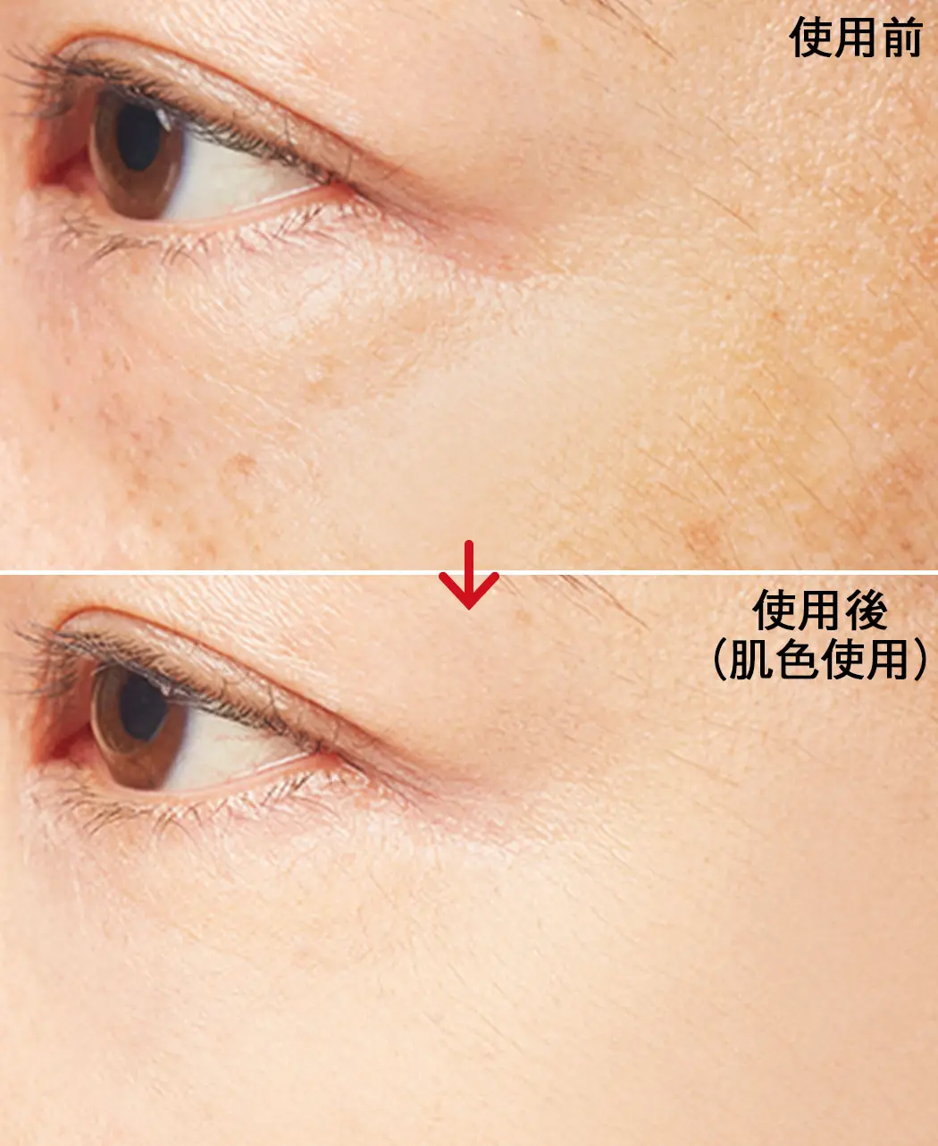 8時だよ 通販生活 uvカットシルクパウダー 黄金まゆの絹粉 公式 カタログハウスの通販サイト