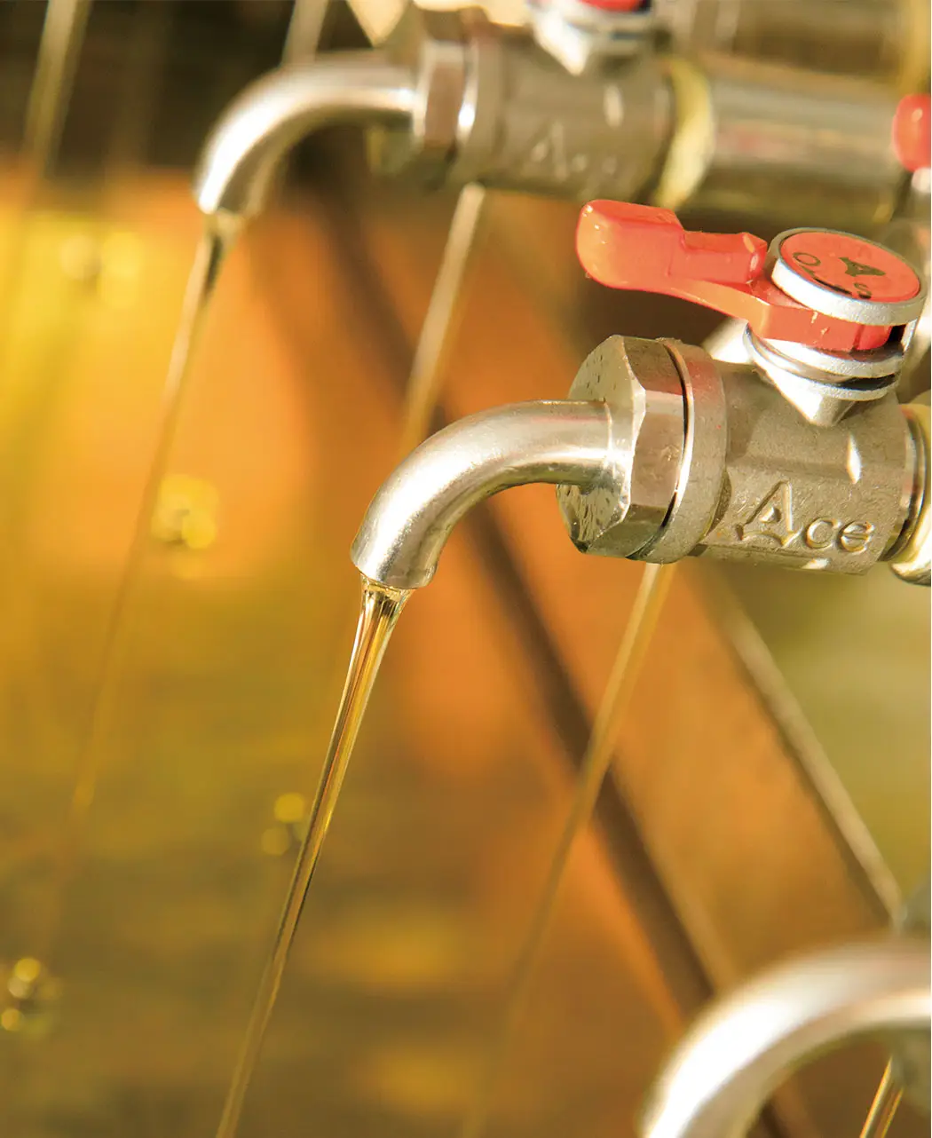 【未開封】通販生活カタログハウス　三百つばき スキンケアオイル 30mL 3本 未開封】通販生活カタログハウス 三百つばき スキンケアオイル