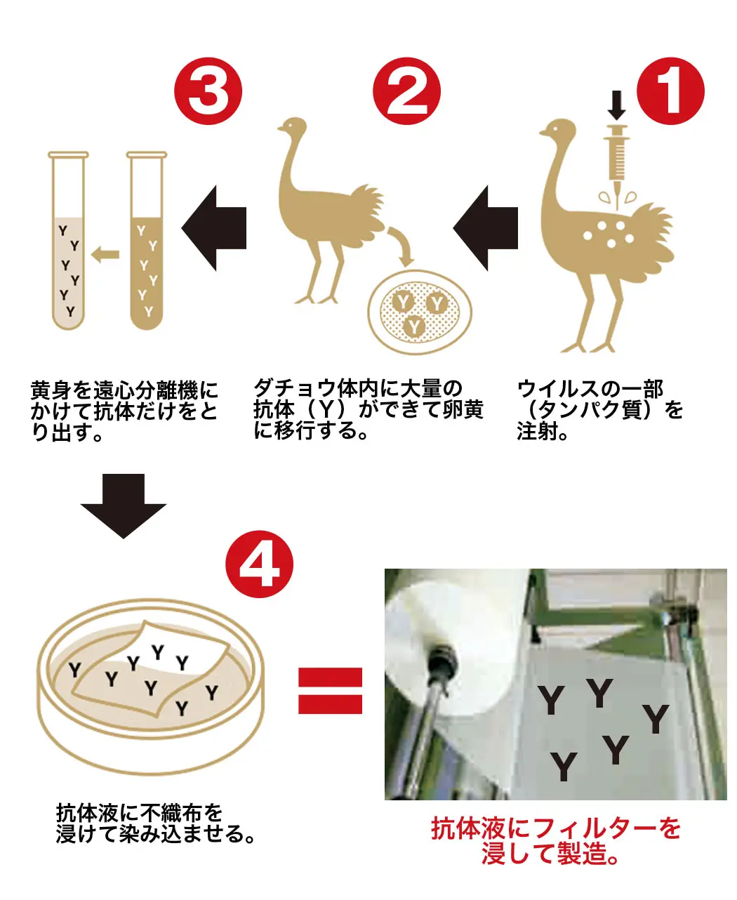 通販生活 ダチョウ抗体マスク25枚 公式 カタログハウスの通販サイト