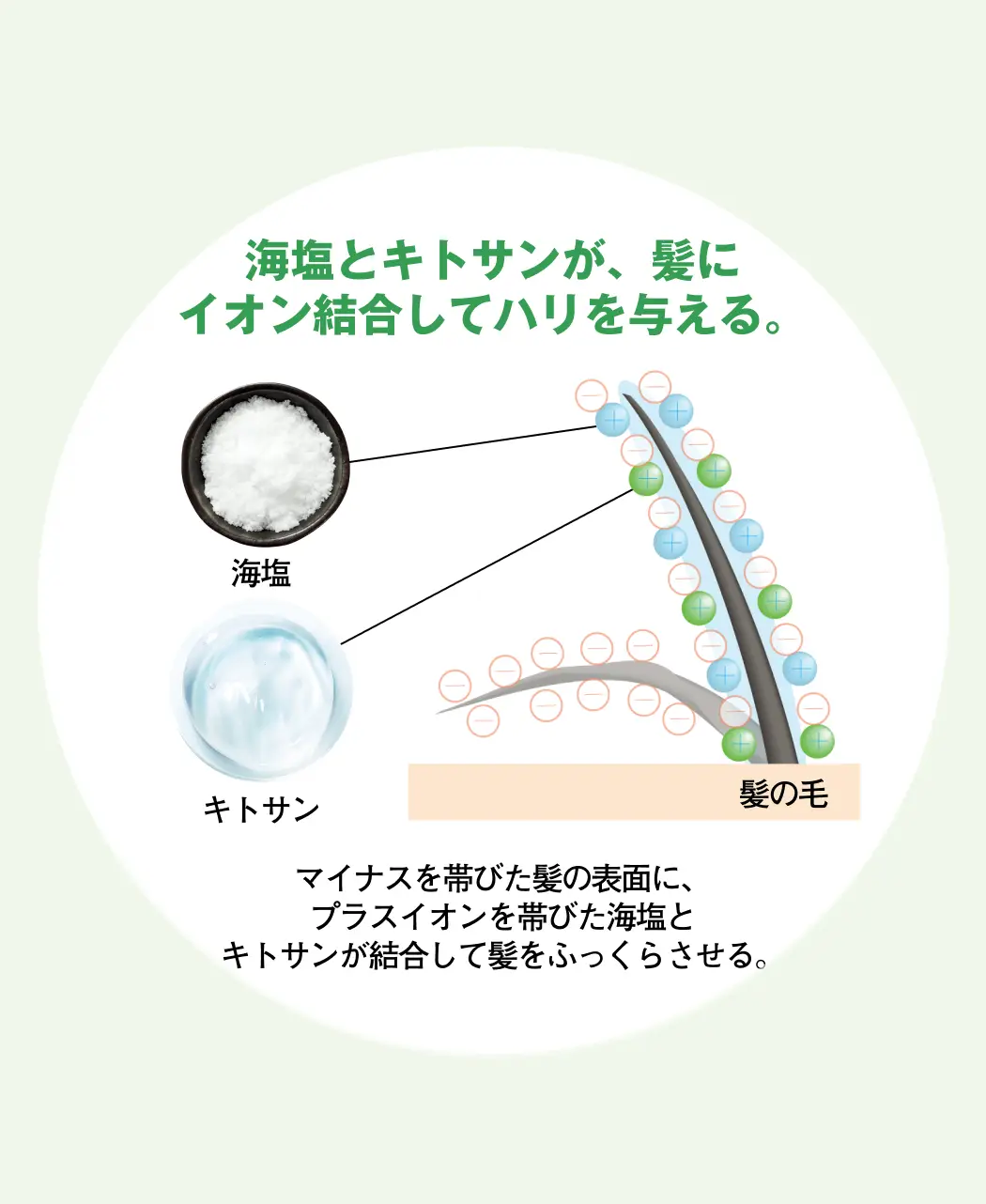 通販生活®ボリュームアップシャンプー『髪ふくら』＆コンディショナー