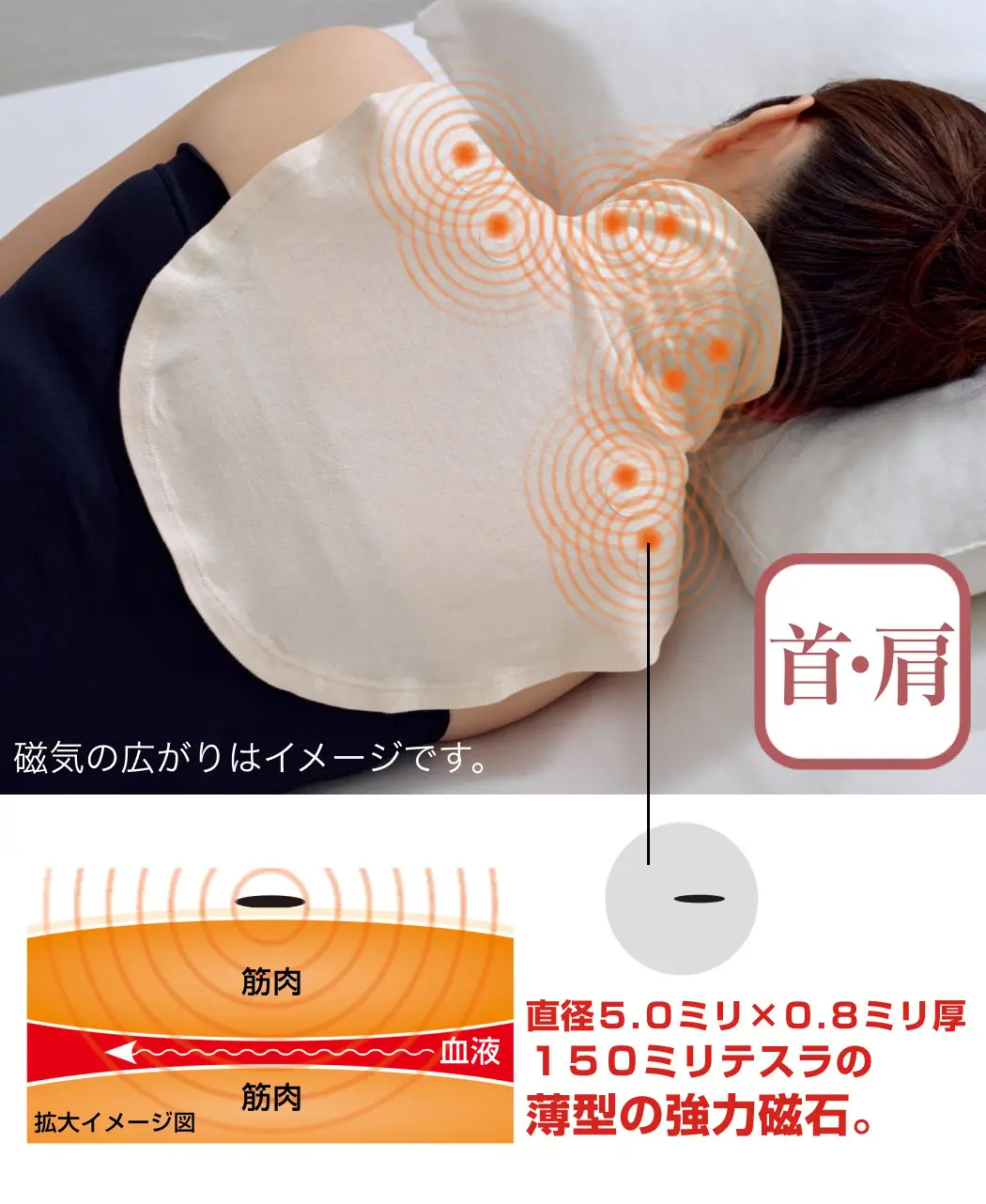 ネテルマ磁気治療3