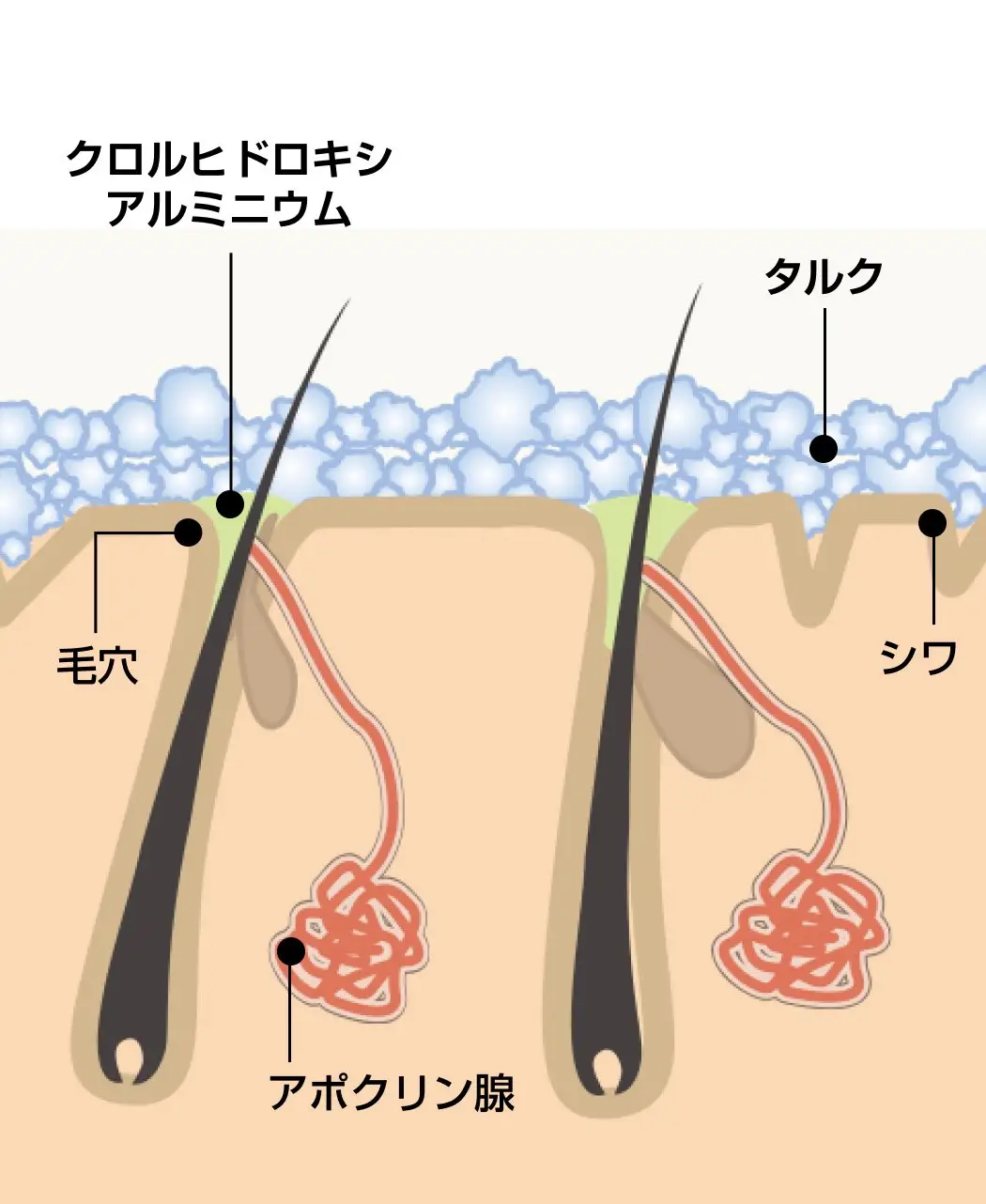 薬用制汗パウダー『さらすず』2
