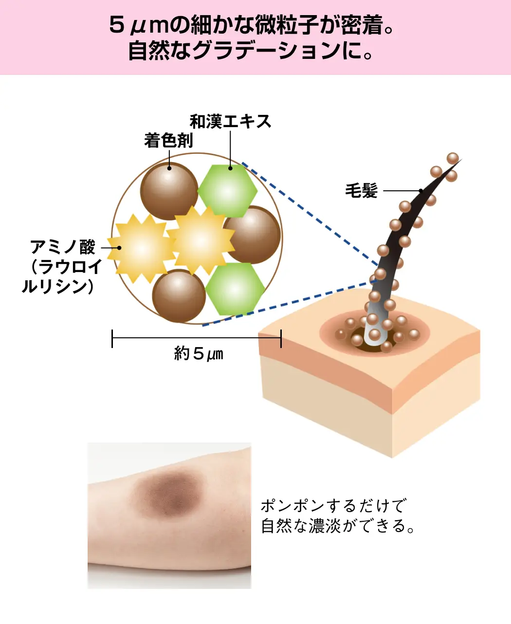 通販生活®頭皮もケアする白髪ぼかし『十二草果の染粉』｜【公式