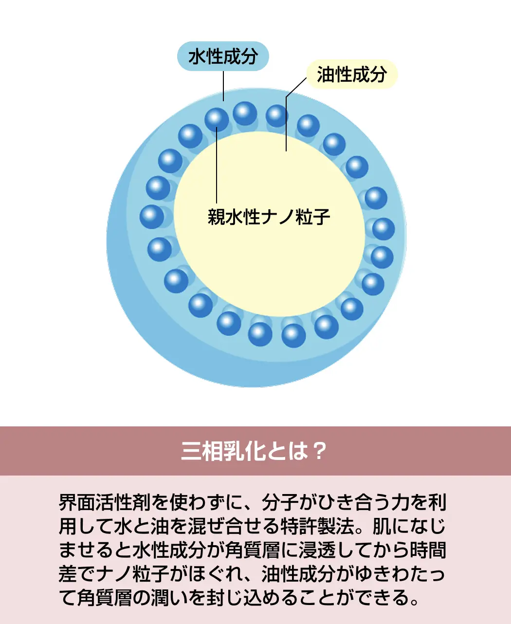 専用です!【新品】カタログハウス通販生活 ボディミルク真白玉 セラミド 4本組 専用！【新品】カタログハウス通販生活 ボディミルク真白玉 セラミド